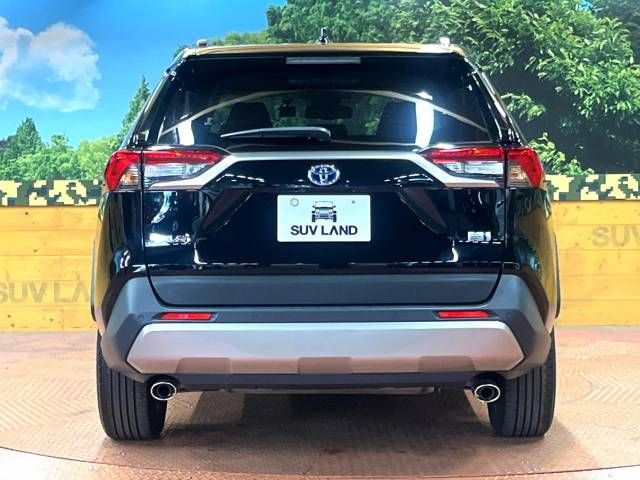 Toyota RAV4 2022-03 17699-15