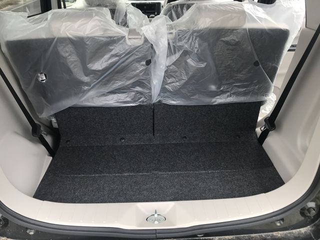 Nissan DAYZ 2019-03 2795-14