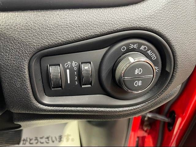 Jeep RENEGADE 2016-09 23632-15