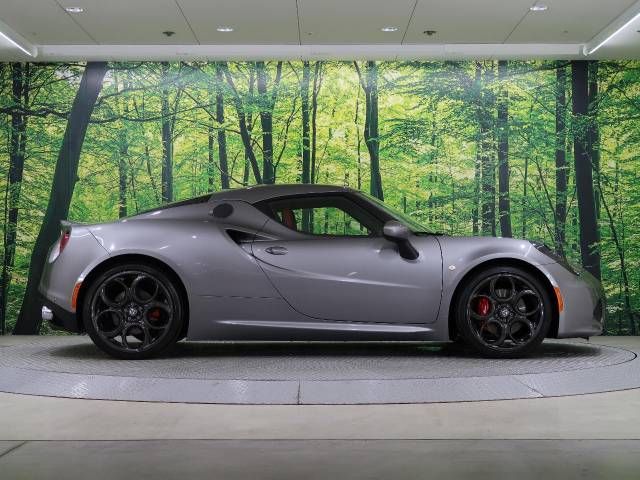 ALFA ROMEO 4C 2019-05 14587-4
