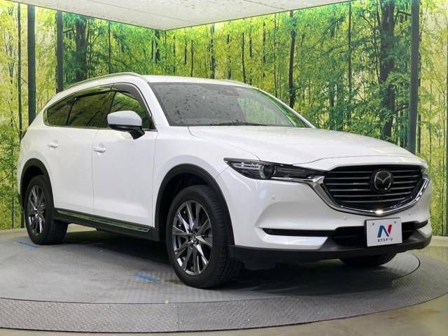 Mazda CX-8 2018-12 20226-17