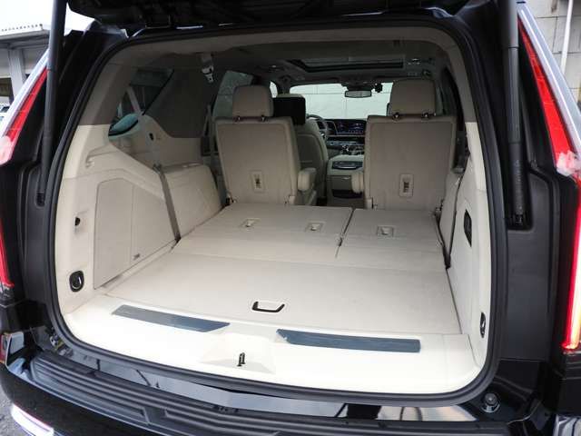 Cadillac ESCALADE 2022-03 22288-12