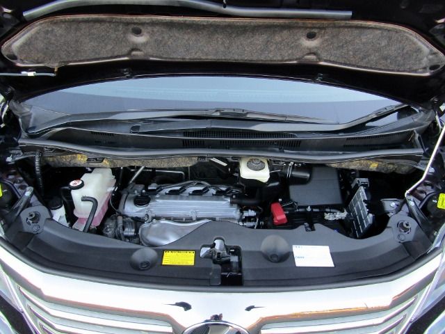 Toyota VELLFIRE 2010-09 181314-18