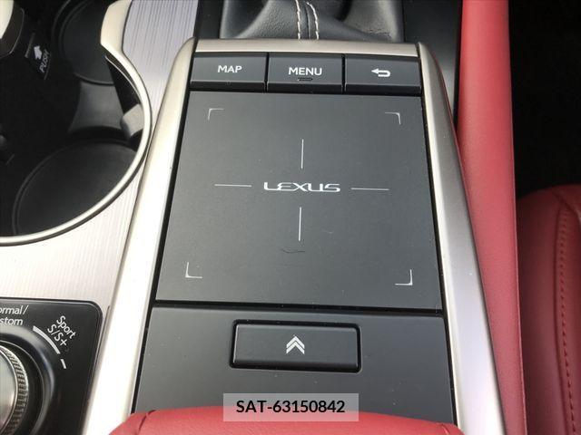 Lexus RX 2019-08 388204-20