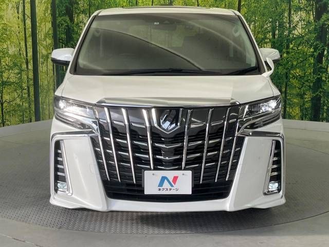 Toyota ALPHARD 2021-06 188636-16