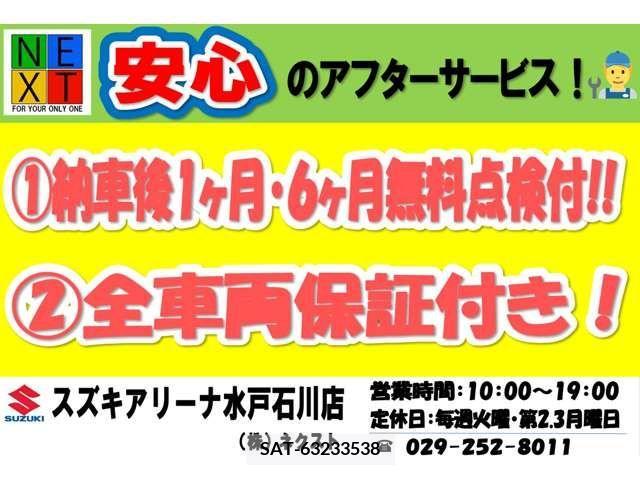 Suzuki X BEE 2018-06 295081-4