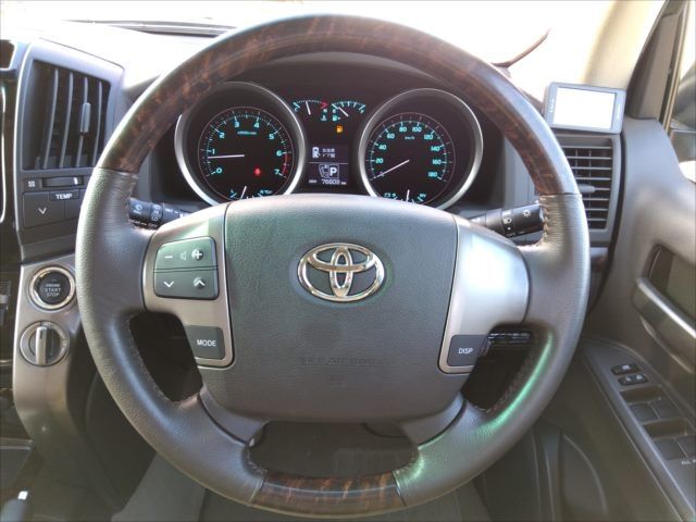 Toyota LAND CRUISER 2010-11 13874-3