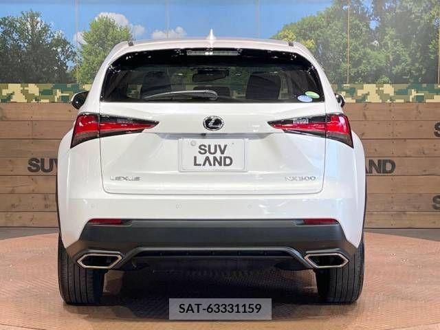 Lexus NX 2018-04 244072-15