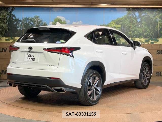 Lexus NX 2018-04 244072-17