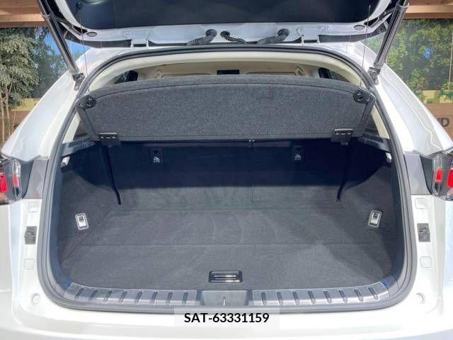 Lexus NX 2018-04 244072-11