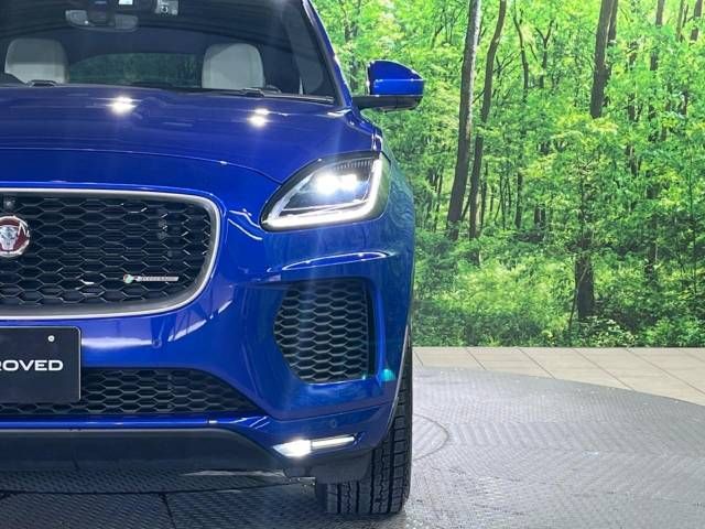 Jaguar E-PACE 2018-06 17305-10