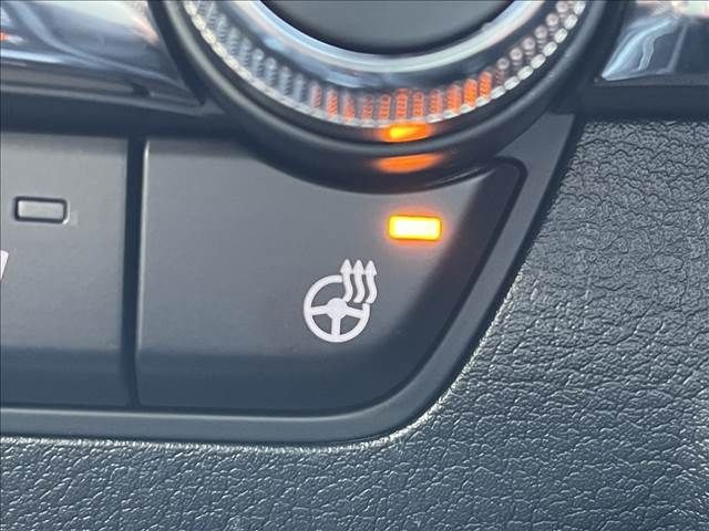 Mazda MAZDA3 2021-06 17854-12