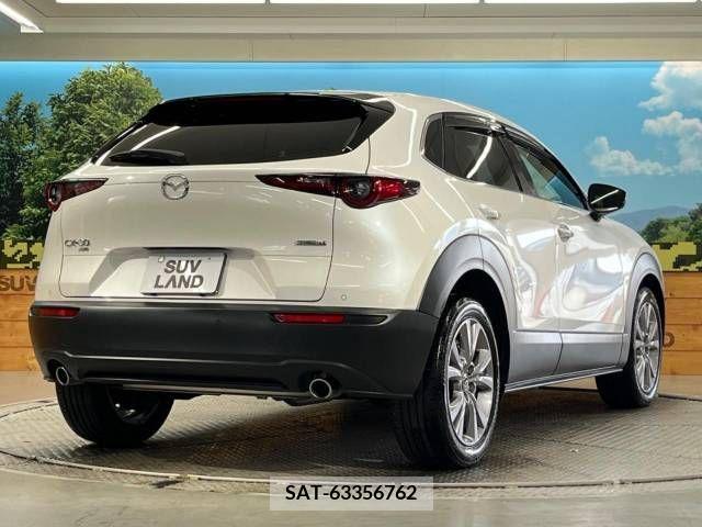 Mazda CX-30 2022-01 302089-17