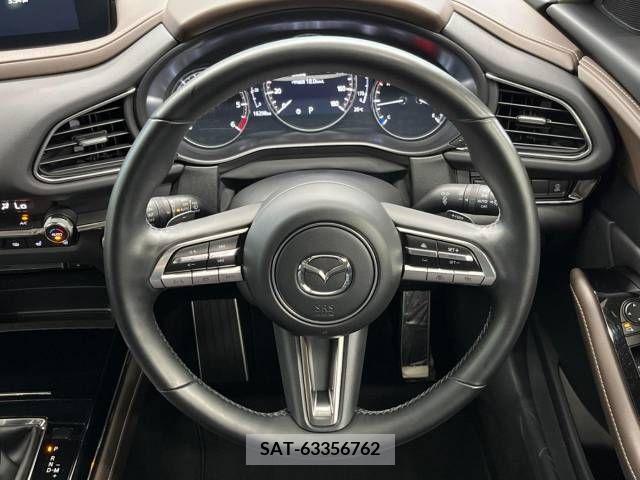 Mazda CX-30 2022-01 302089-11