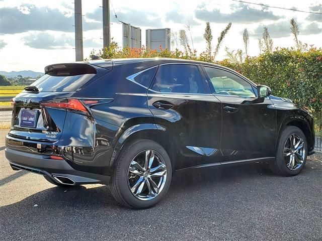 Lexus NX 2020-10 729-4