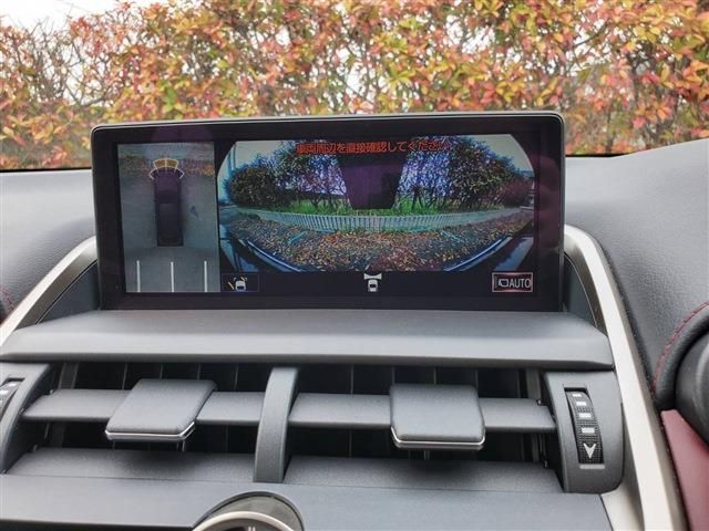Lexus NX 2020-10 729-18