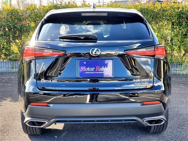 Lexus NX 2020-10 729-2