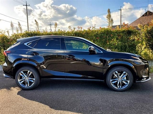 Lexus NX 2020-10 729-1
