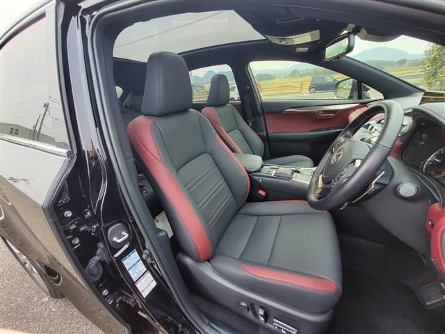 Lexus NX 2020-10 729-8