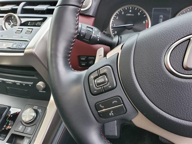 Lexus NX 2020-10 729-28