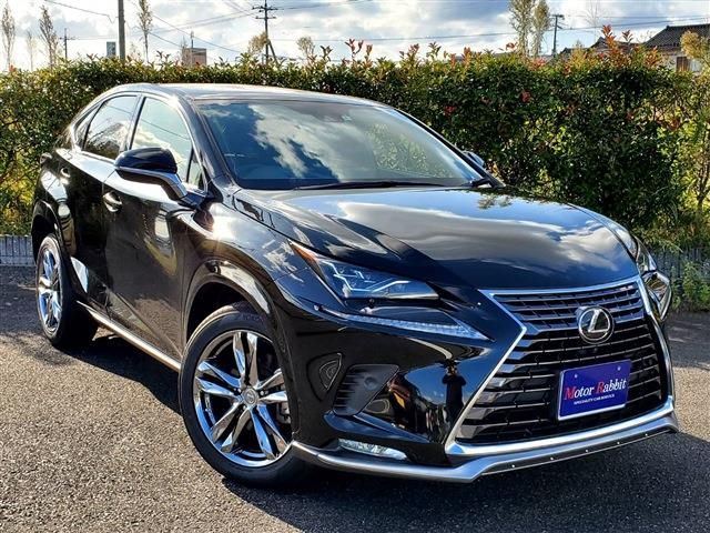 Lexus NX 2020-10 729-0