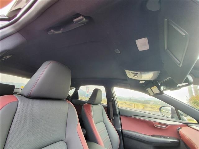 Lexus NX 2020-10 729-15