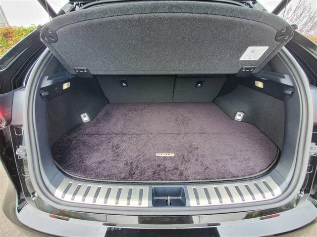 Lexus NX 2020-10 729-16