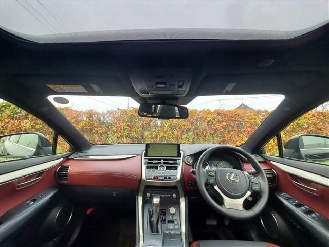 Lexus NX 2020-10 729-5