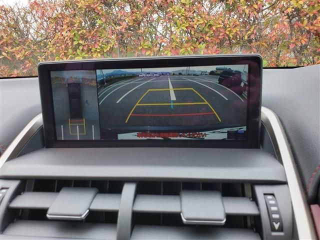 Lexus NX 2020-10 729-14