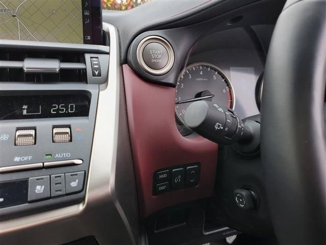 Lexus NX 2020-10 729-29