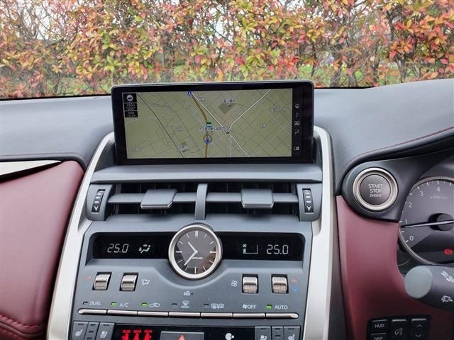 Lexus NX 2020-10 729-13
