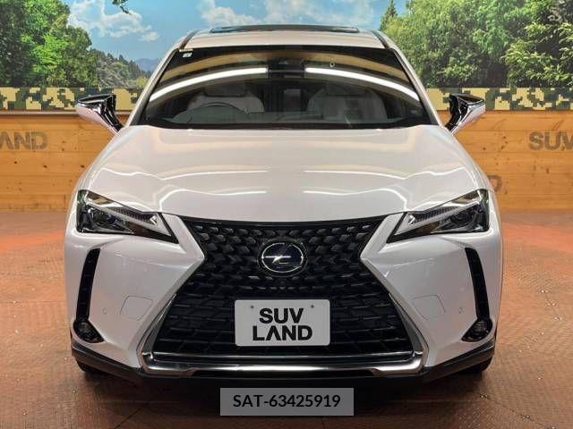 Lexus UX 2021-03 388267-17