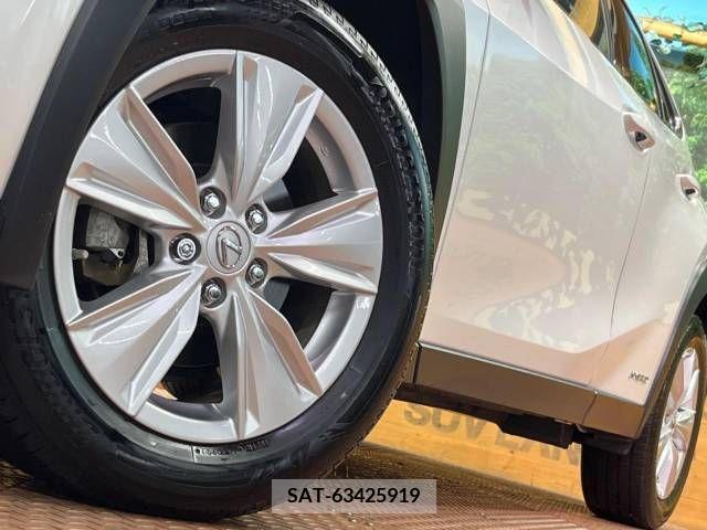 Lexus UX 2021-03 388267-16