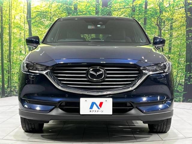Mazda CX-8 2018-06 19523-15