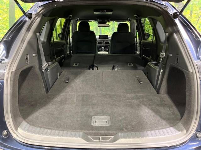 Mazda CX-8 2018-06 19523-11