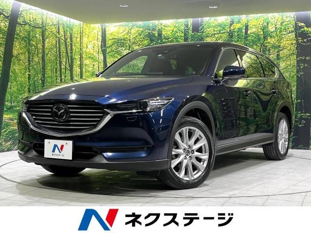 Mazda CX-8 2018-06 19523-0