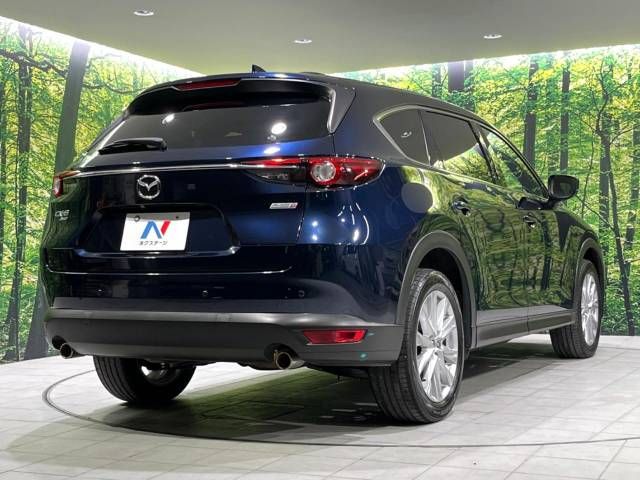 Mazda CX-8 2018-06 19523-18