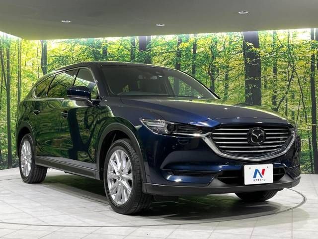 Mazda CX-8 2018-06 19523-17