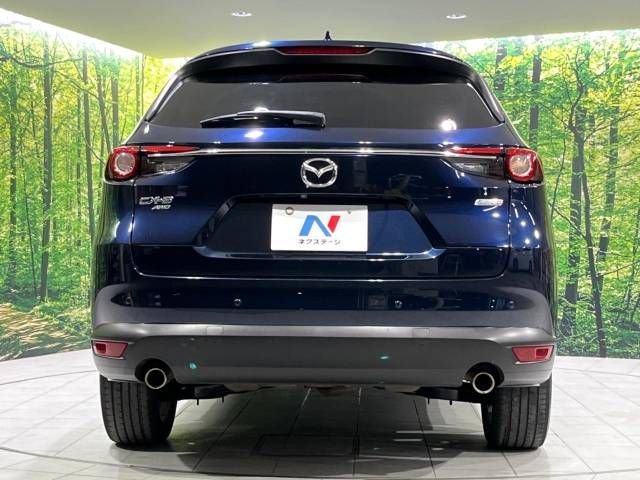 Mazda CX-8 2018-06 19523-16