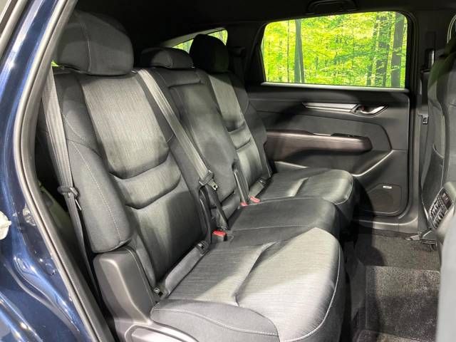 Mazda CX-8 2018-06 19523-9