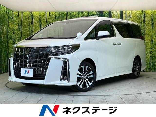 Toyota ALPHARD 2020-08 8069-0