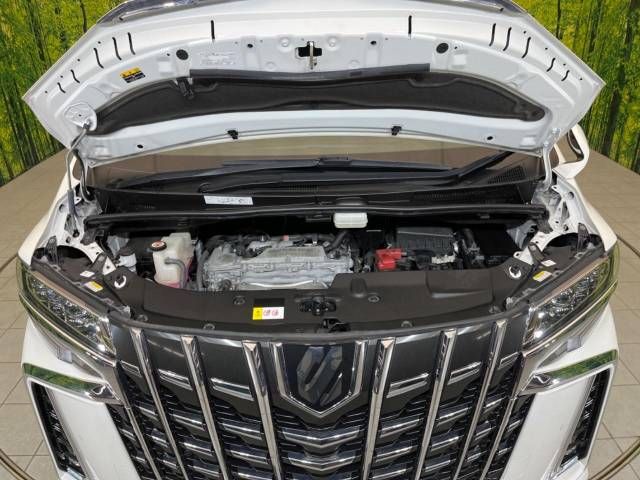 Toyota ALPHARD 2020-08 8069-19