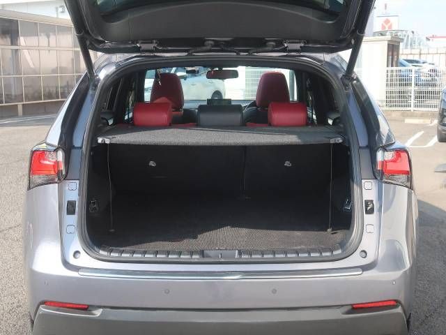 Lexus NX 2015-04 14987-10