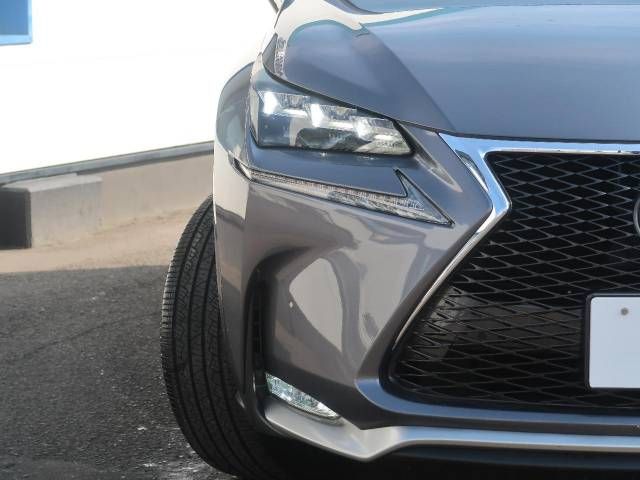Lexus NX 2015-04 14987-12