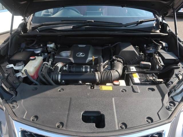 Lexus NX 2015-04 14987-18