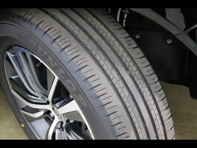 Toyota HARRIER 2023-02 16443-24