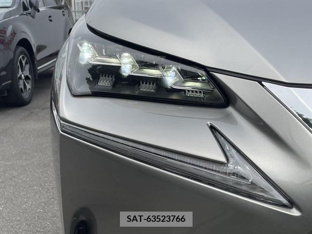 Lexus NX 2015-10 299728-28
