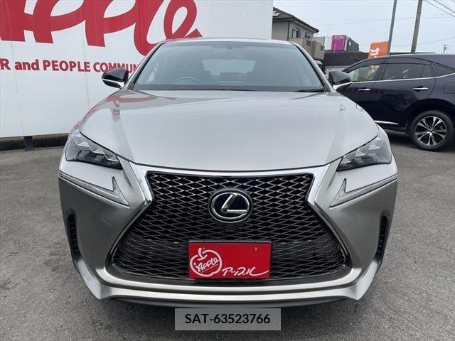 Lexus NX 2015-10 299728-14