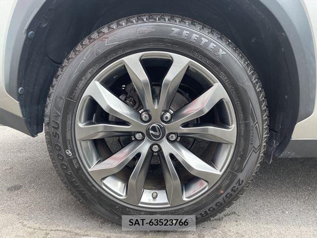 Lexus NX 2015-10 299728-25