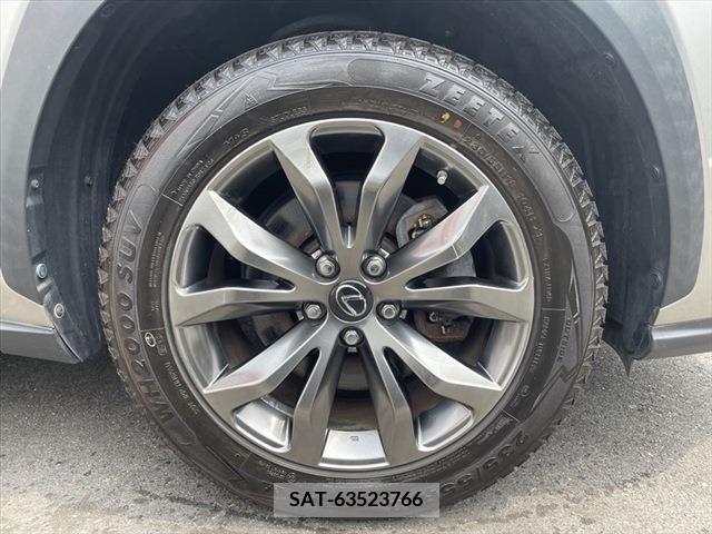 Lexus NX 2015-10 299728-13